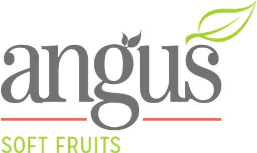 Angus Soft Fruits logo SVG logo