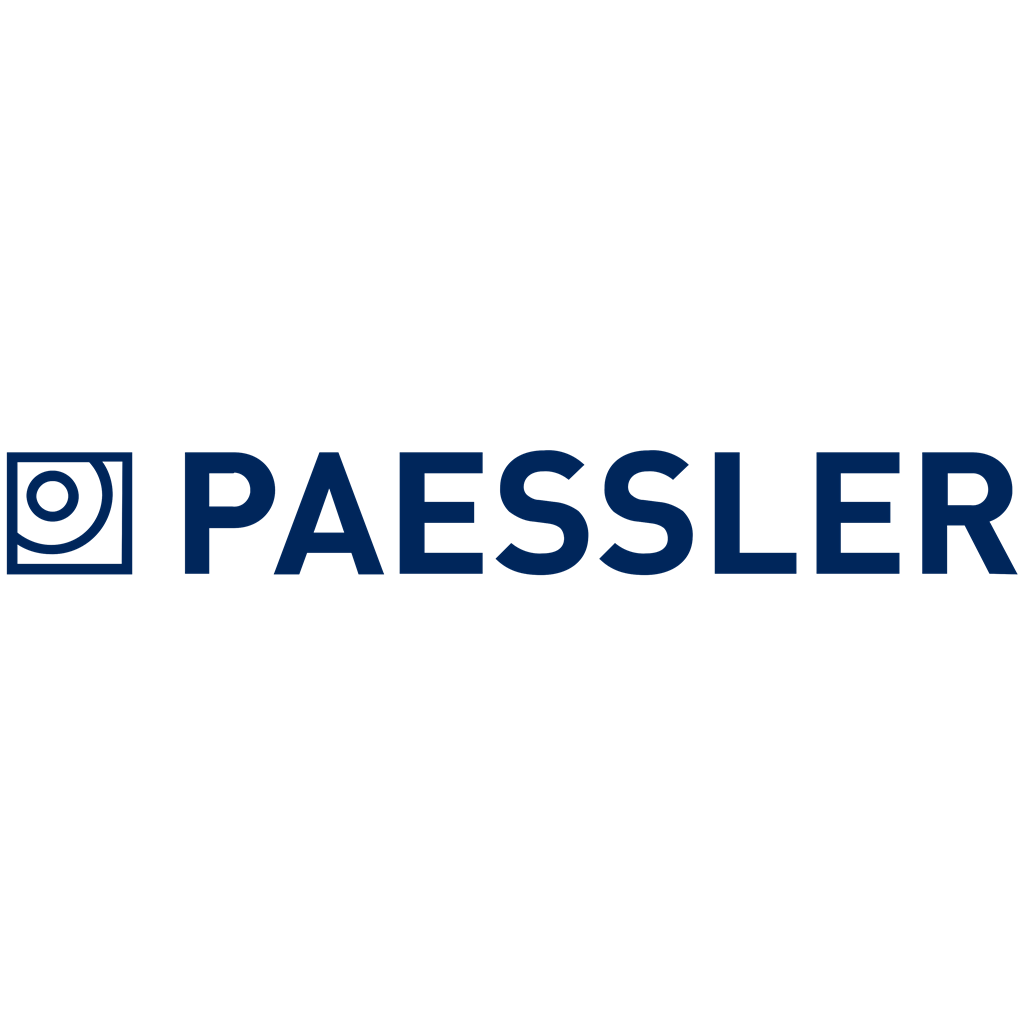 Paessler logotype, transparent .png, medium, large