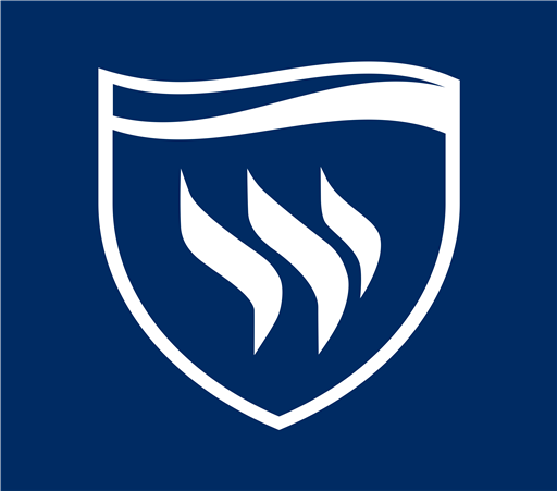 Texas Wesleyan University logo SVG logo